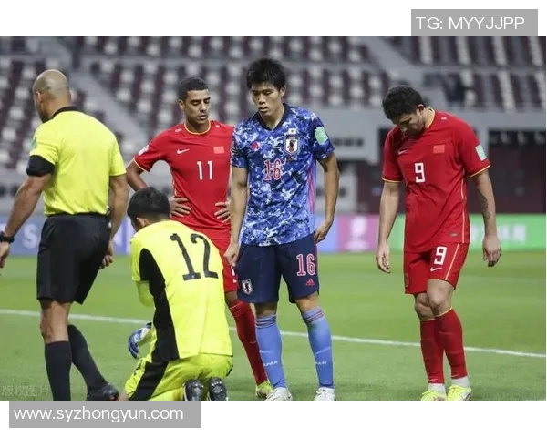 上海排球队实力之争引发热议球迷观点各异引发关注