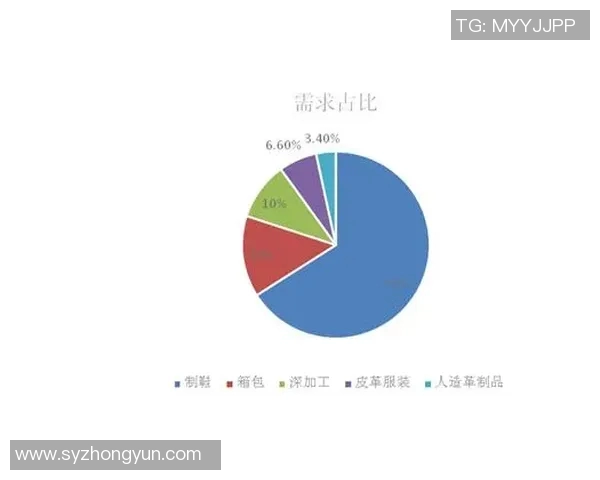 深圳篮球队的运营策略深度分析与市场前景展望 深圳篮球队的运营策略深度分析与市场前景展望